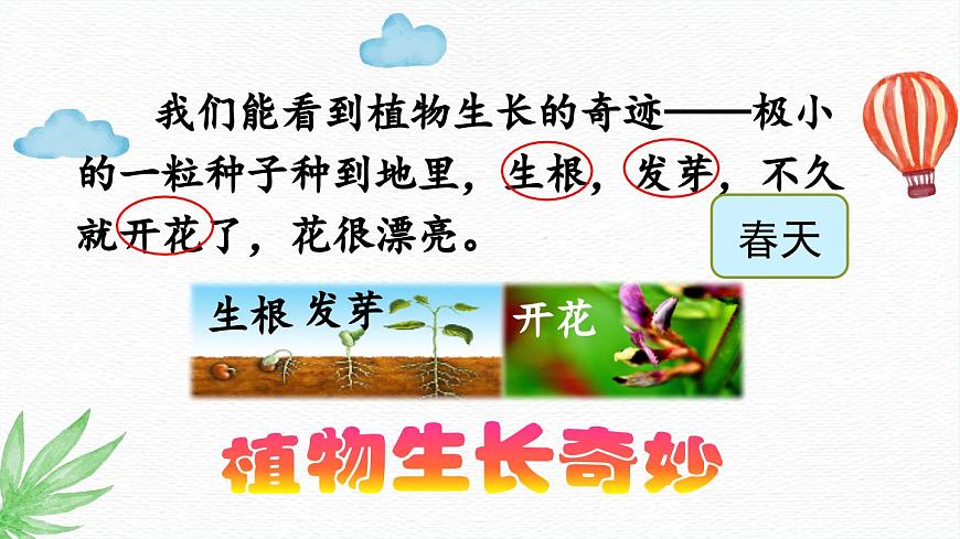新统编版小学语文三下 7-22《我们奇妙的世界》课件（第二课时）第5页