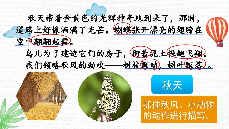 新统编版小学语文三下 7-22《我们奇妙的世界》课件（第二课时）第8页