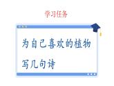 新统编版小学语文四下 3-11《白桦》学习任务群教学课件