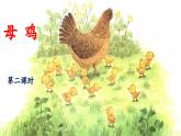 新统编版小学语文四下 4-14《母鸡》 课件（第二课时）