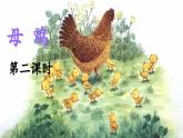 新统编版小学语文四下 4-14《母鸡》教学课件（第二课时）