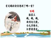 新统编版小学语文四下 4-15《白鹅》教学课件（第一课时）