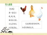 新统编版小学语文四下 4-15《白鹅》 课件（第一课时）