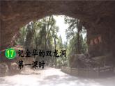新统编版小学语文四下 5-17《记金华的双龙洞》课件（第一课时）