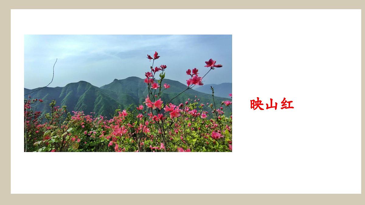新统编版小学语文四下 5-17《记金华的双龙洞》学习任务群教学课件第3页