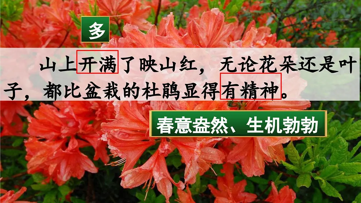 新统编版小学语文四下 5-17《记金华的双龙洞课件（第二课时）第5页