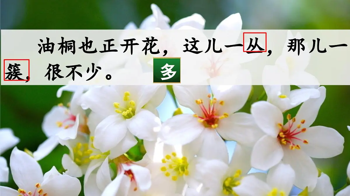新统编版小学语文四下 5-17《记金华的双龙洞课件（第二课时）第6页