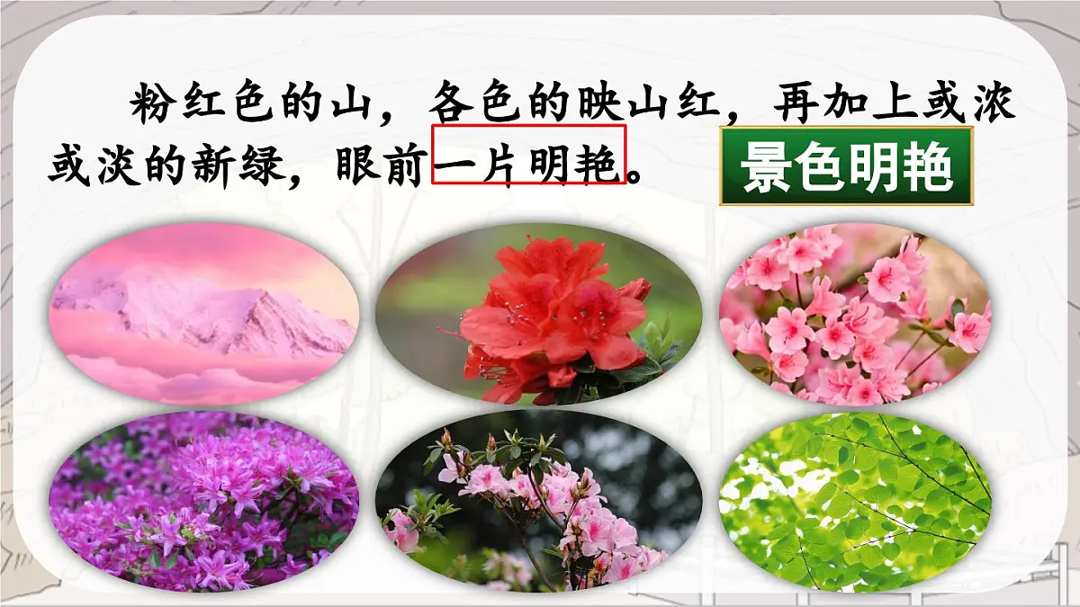 新统编版小学语文四下 5-17《记金华的双龙洞课件（第二课时）第8页