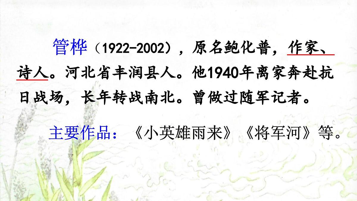 新统编版小学语文四下 6-19《小英雄雨来（节选）》课件（第一课时）第3页