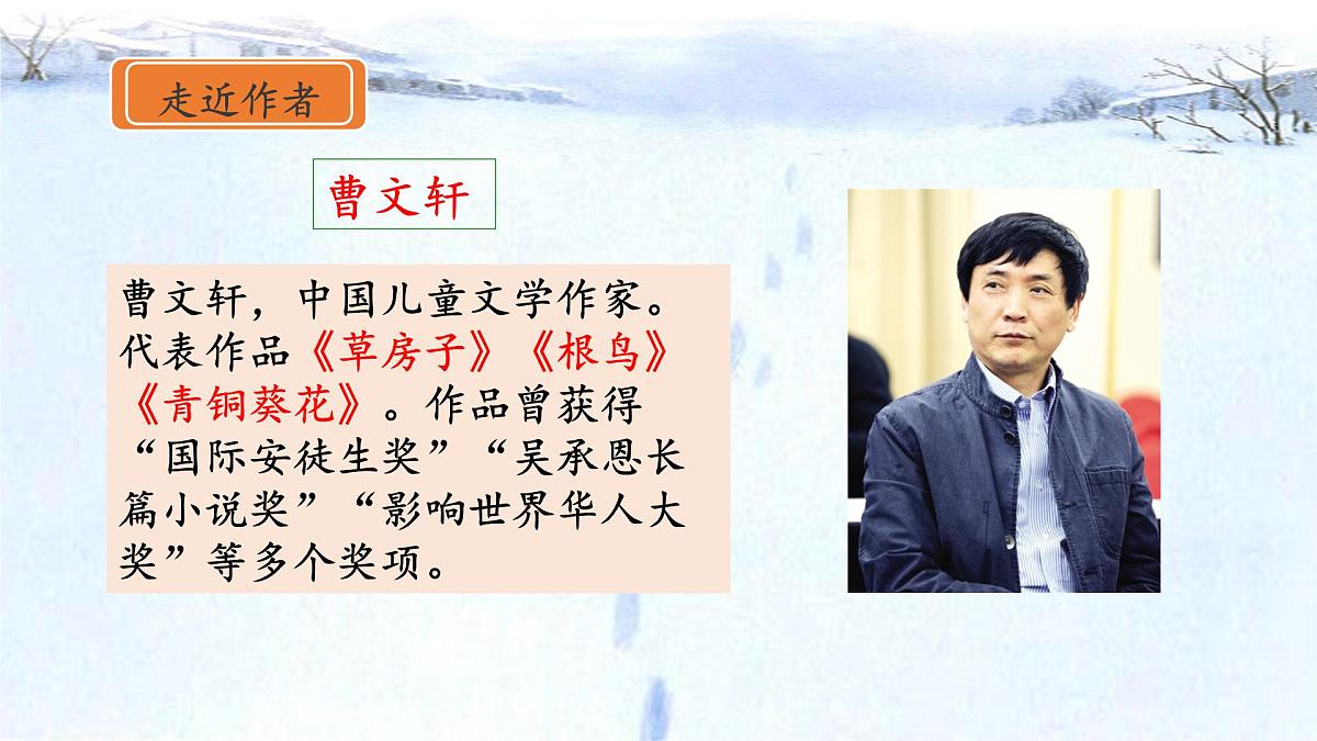 新统编版小学语文四下 6-21《芦花鞋》课件第4页