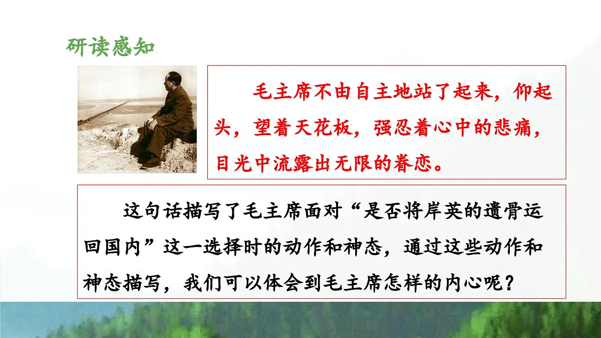 新统编版小学语文五下 4-10《青山处处埋忠骨》教学课件（第二课时）第7页