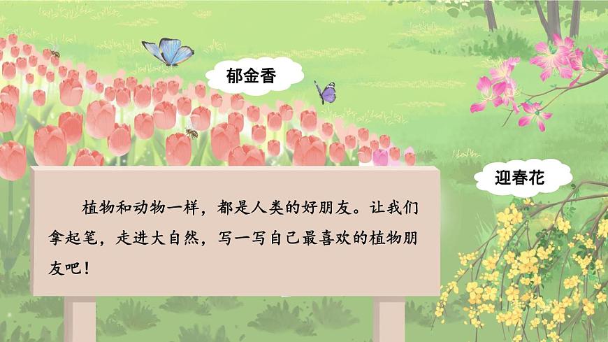 统编版三年级语文下册课件第一单元《习作：我的植物朋友》第3页