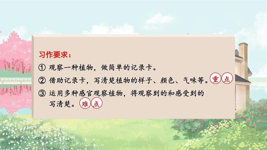 统编版三年级语文下册课件第一单元《习作：我的植物朋友》第4页