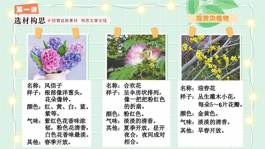 统编版三年级语文下册课件第一单元《习作：我的植物朋友》第6页