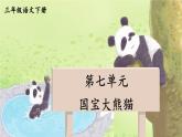统编版三年级语文下册课件第七单元《习作：国宝大熊猫》