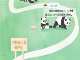 统编版三年级语文下册课件第七单元《习作：国宝大熊猫》