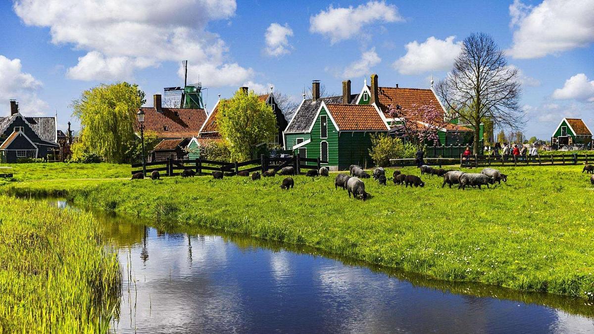 新统编版小学语文五下 7-19《牧场之国》课件（第一课时）第2页