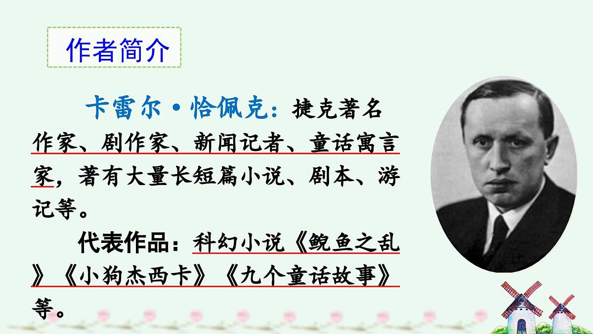 新统编版小学语文五下 7-19《牧场之国》课件（第一课时）第5页