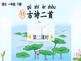 新统编版小学语文一下 课文4 11《古诗二首》课件（第二课时）