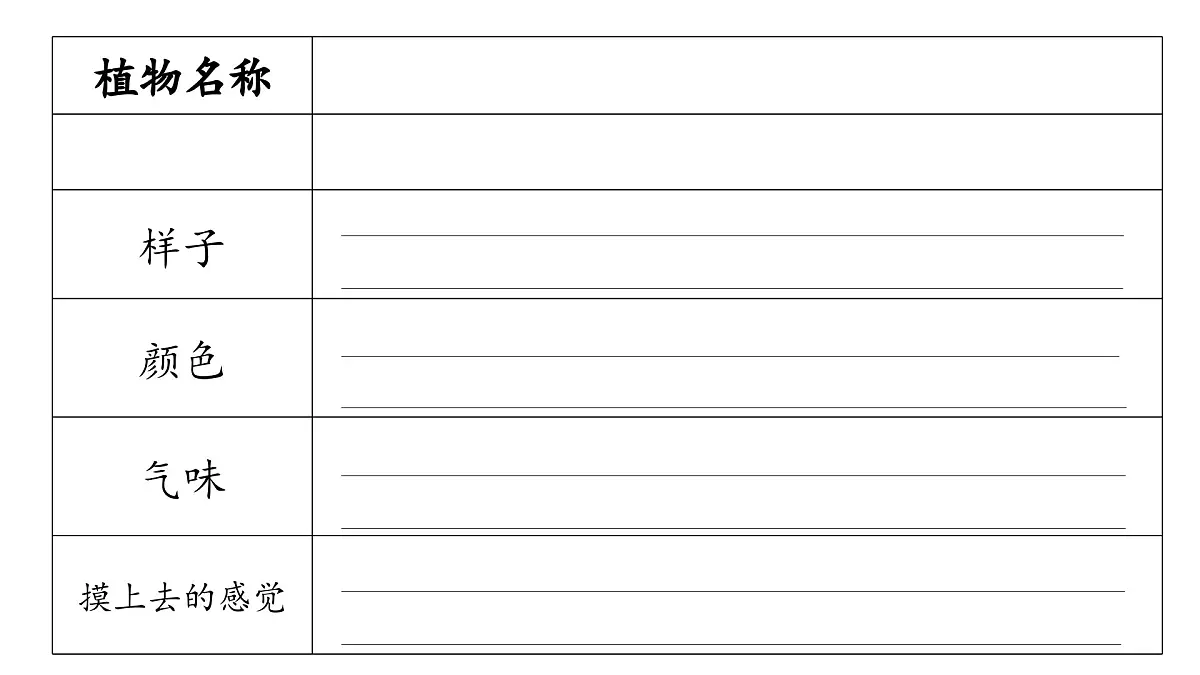 习作：我的植物朋友（课件）2024-2025学年部编版语文三年级下册第3页