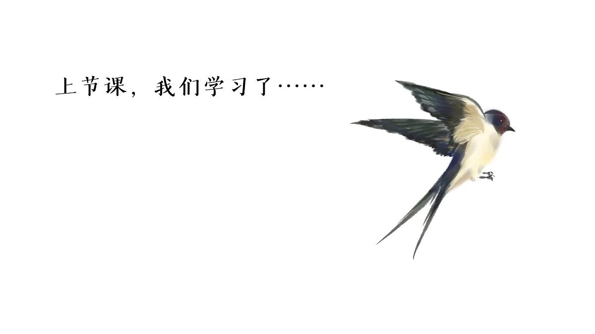 3.荷花 课件 2024-2025学年部编版语文三年级下册第1页