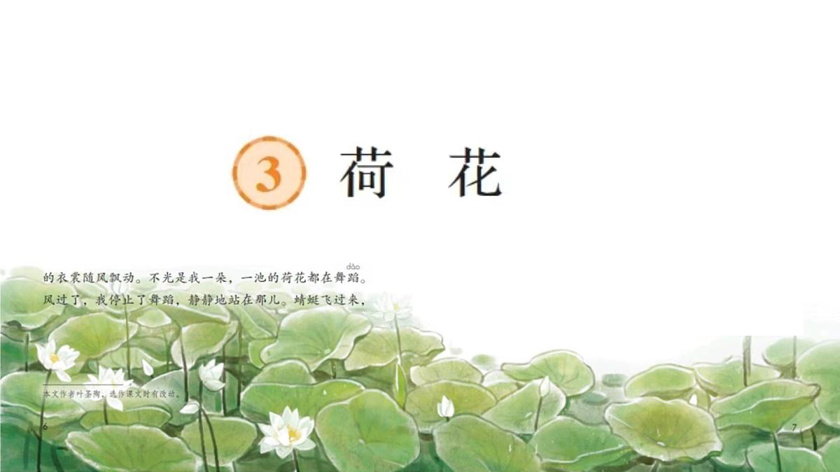 3.荷花 课件 2024-2025学年部编版语文三年级下册第2页