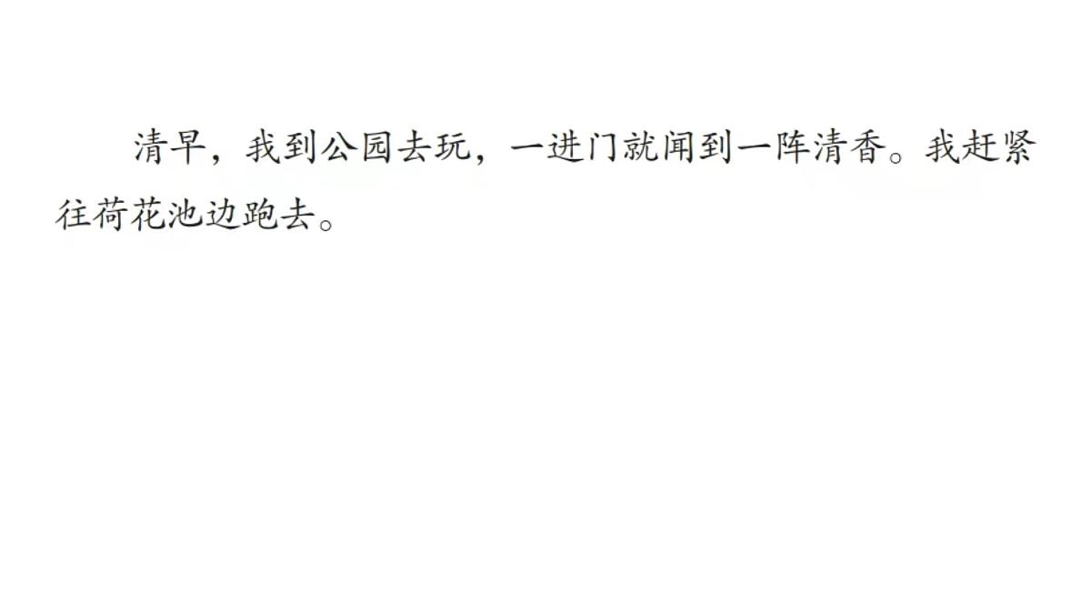 3.荷花 课件 2024-2025学年部编版语文三年级下册第3页