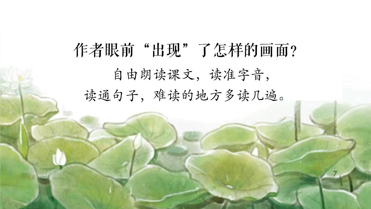 3.荷花 课件 2024-2025学年部编版语文三年级下册第4页