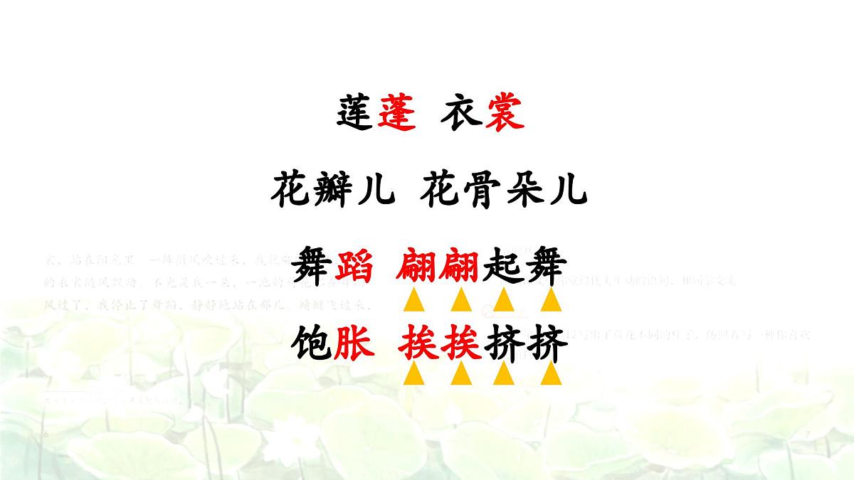 3.荷花 课件 2024-2025学年部编版语文三年级下册第6页