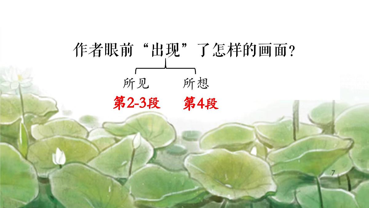 3.荷花 课件 2024-2025学年部编版语文三年级下册第7页