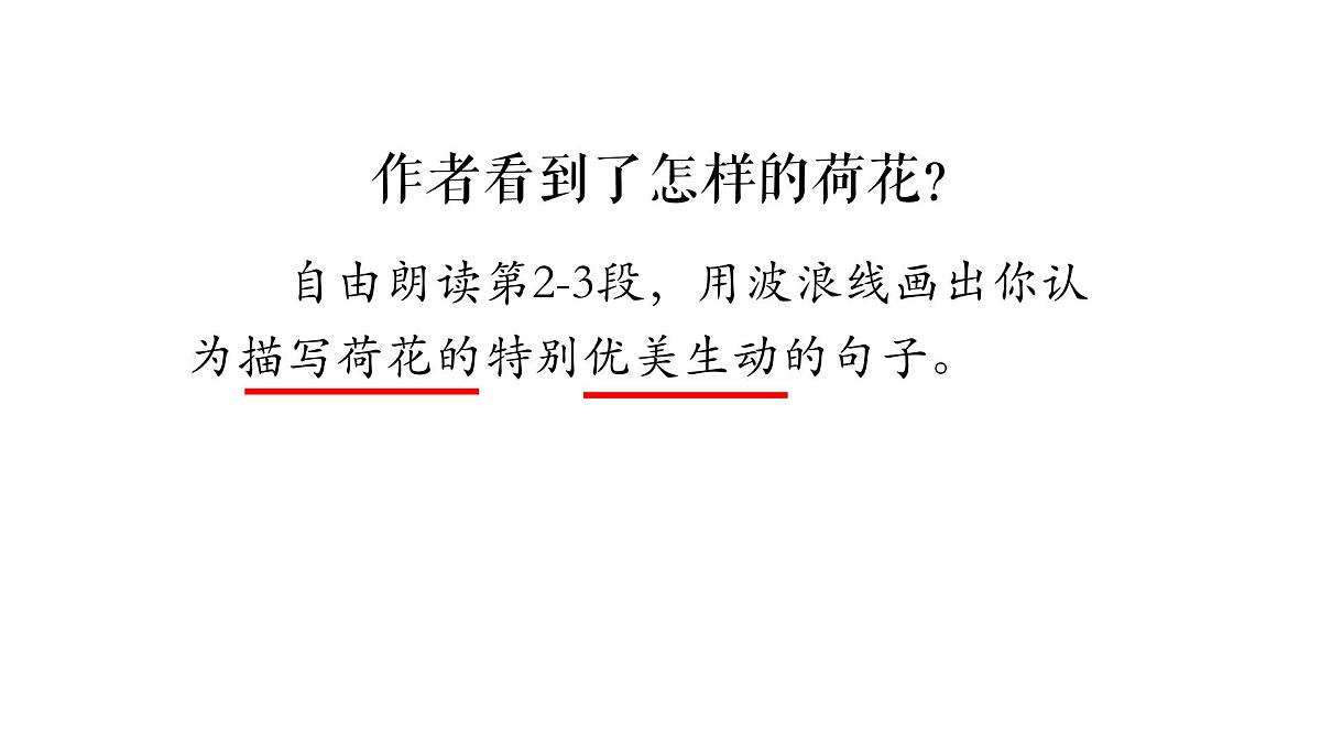 3.荷花 课件 2024-2025学年部编版语文三年级下册第8页
