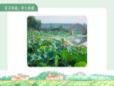 10古詩(shī)二首《小池》課件 語(yǔ)文統(tǒng)編版（2024）一年級(jí)下冊(cè)第六單元