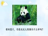 新统编版小学语文三下 第七单元《习作：国宝大熊猫》课件（第一课时）