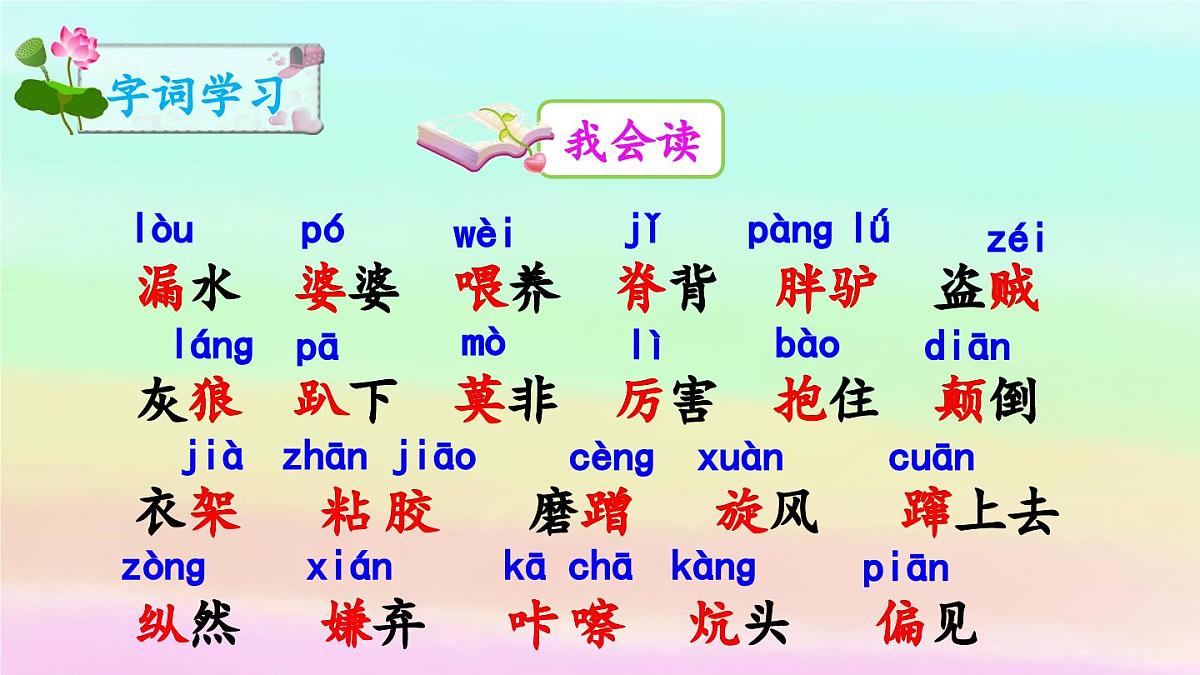 新统编版小学语文三下 8-27《漏》课件第3页