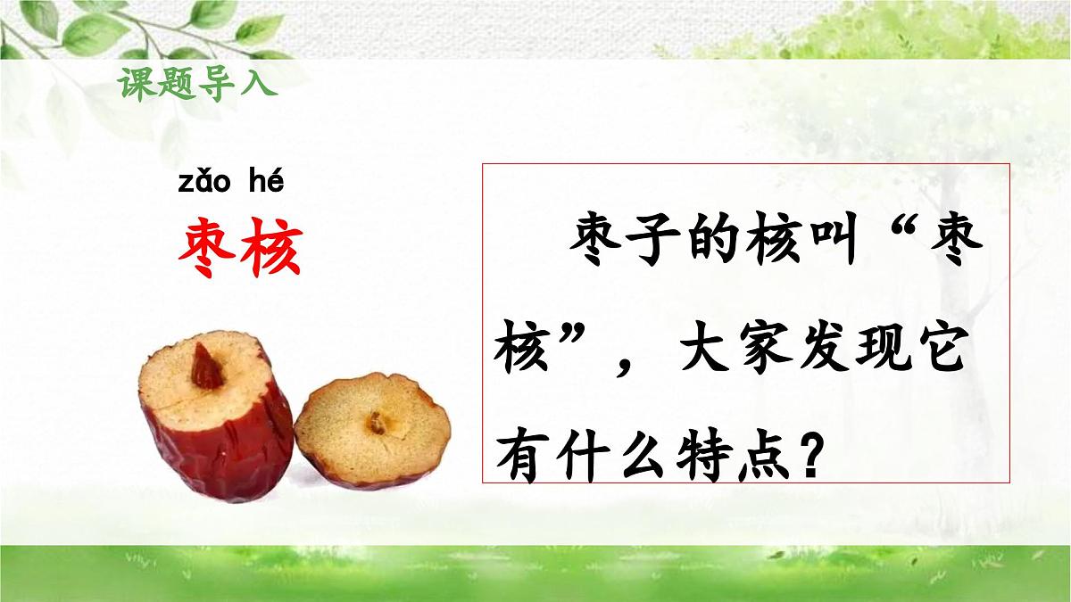 新统编版小学语文三下 8-28《枣核》 课件第3页