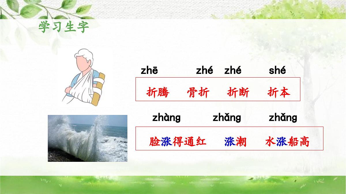 新统编版小学语文三下 8-28《枣核》 课件第6页