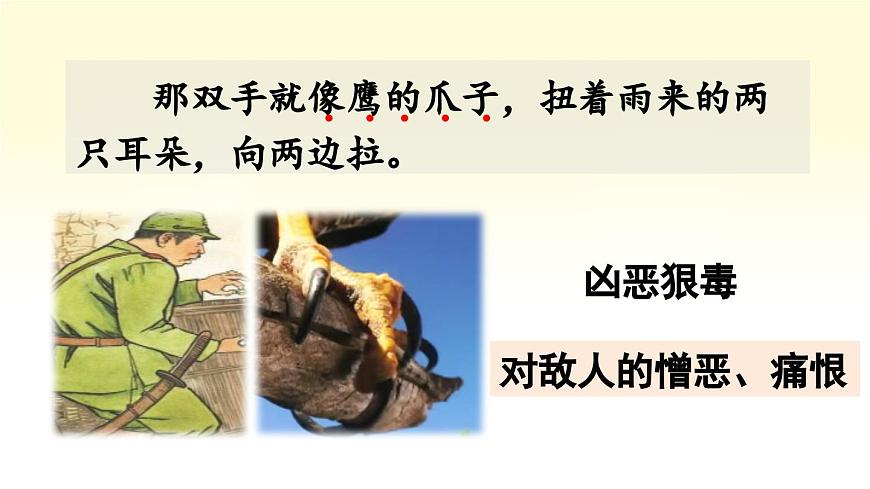 新统编版小学语文四下 第六单元《语文园地六》课件（第二课时）第5页