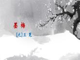 新統(tǒng)編版小學(xué)語(yǔ)文四下 7-22《墨梅》課件