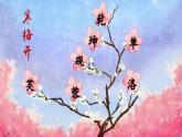 新統(tǒng)編版小學(xué)語(yǔ)文四下 7-22《墨梅》課件