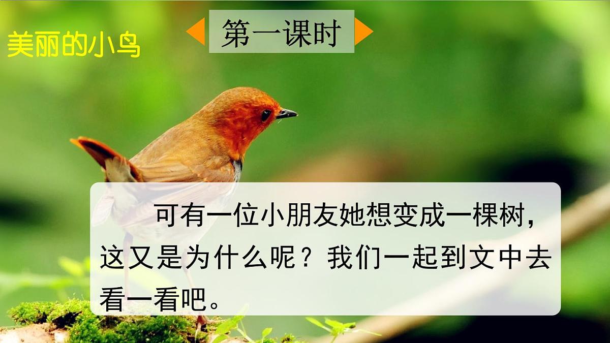 统编版语文三年级下册第17课《我变成了一棵树》课件第2页