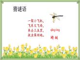 統(tǒng)編版語(yǔ)文一年級(jí)下冊(cè)第5《動(dòng)物兒歌》課件