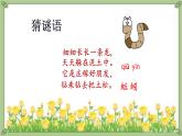 統(tǒng)編版語(yǔ)文一年級(jí)下冊(cè)第5《動(dòng)物兒歌》課件