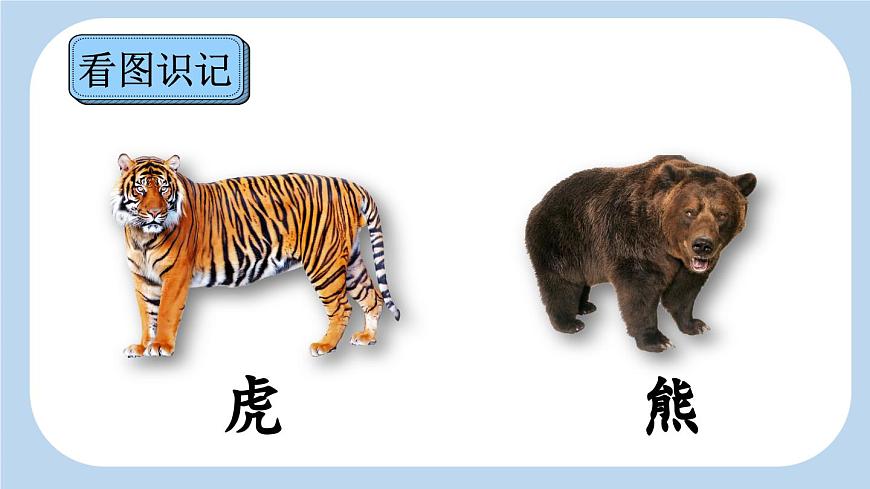 新统编版小学语文一下 课文5 16《动物王国开大会》新课标课件（第一课时）第8页