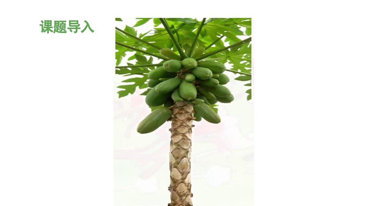 新统编版小学语文一下 课文6 19《咕咚》 课件（第一课时）第3页