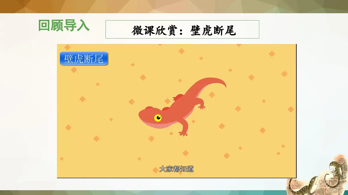 新统编版小学语文一下 课文6 20《小壁虎借尾巴》 课件（第二课时）第8页