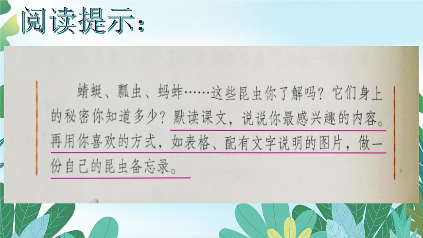 4《昆虫备忘录》课件  部编版语文三年级下册第4页