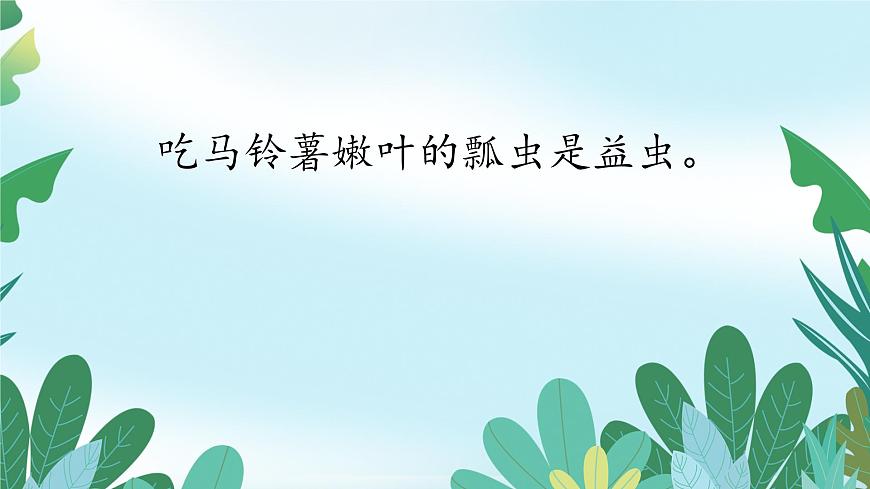 4《昆虫备忘录》课件  部编版语文三年级下册第7页