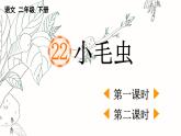 《小毛虫》课件 部编版语文二年级下册