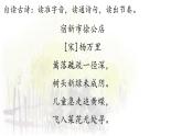 1《古詩詞三首——宿新市徐公店》課件  部編版語文四年級下冊