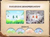 《古對今》課件 部編版語文一年級下冊